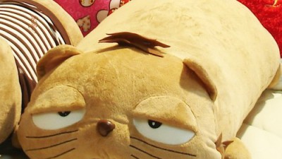 득템! 놓치면 후회할 대형 딩가 쿠션 인형 후기💖