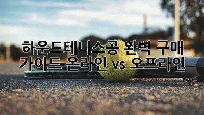 하운드테니스공 완벽 구매 가이드: 온라인 vs 오프라인