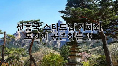 🚀 신흥국 스타트업: 기회와 도전이 공존하는 땅 🌍